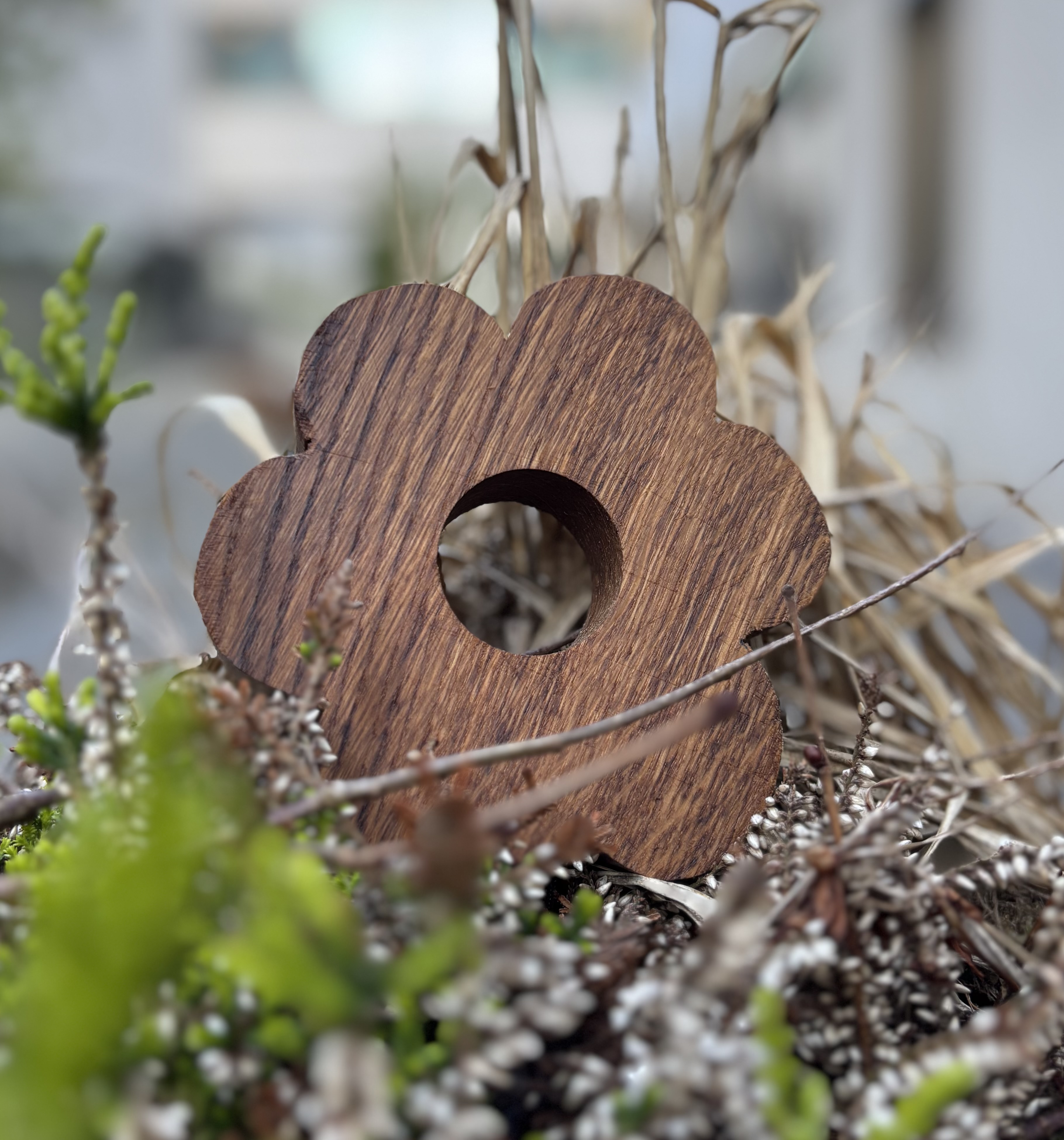 Holzblüte